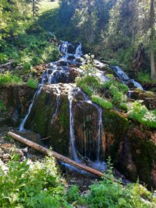 Конная прогулка к Емурлинскому водопаду